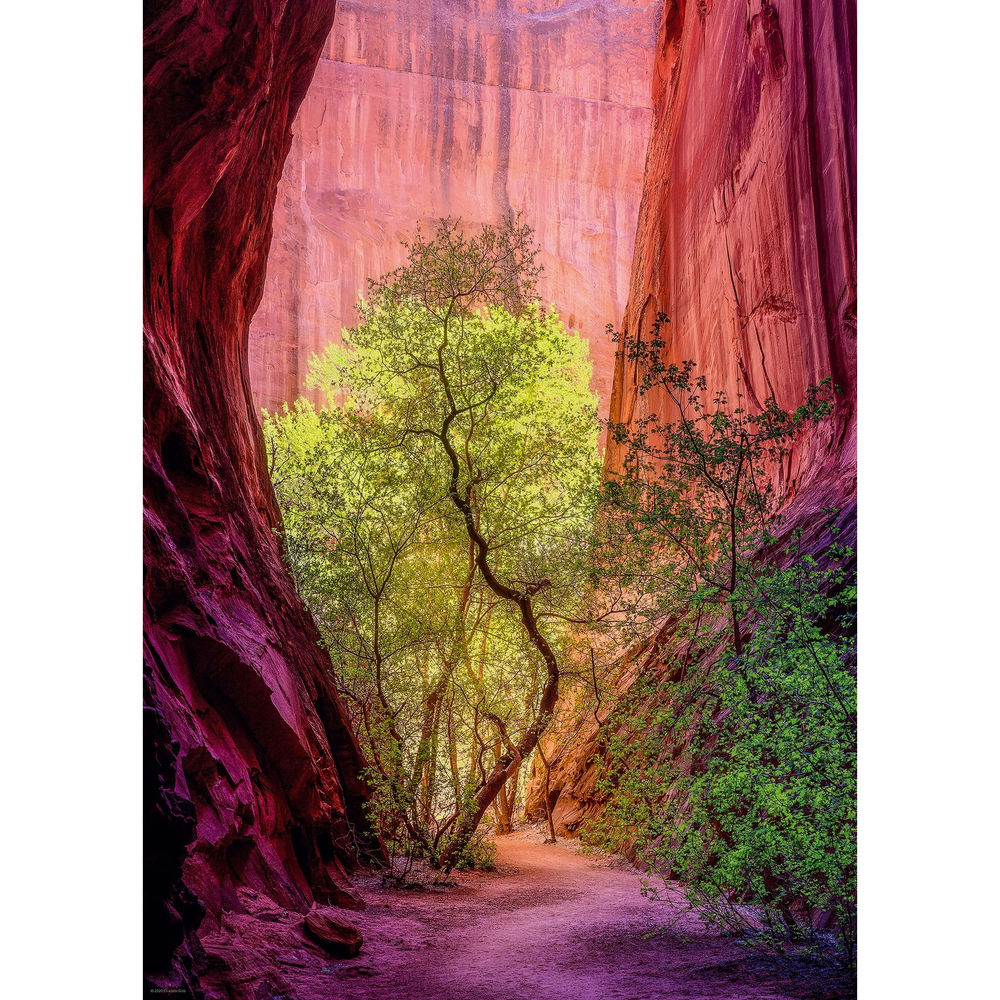 Puzzle Singing Canyon Standard, 1000 Teile