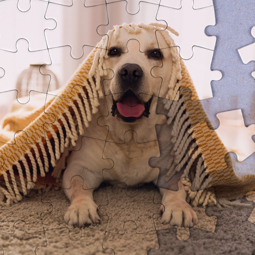 Puzzle Hunde