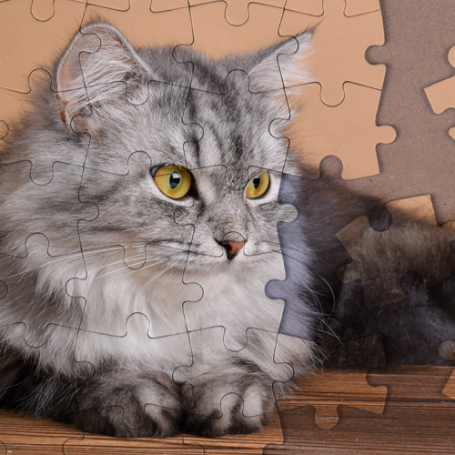 Puzzle Katzen