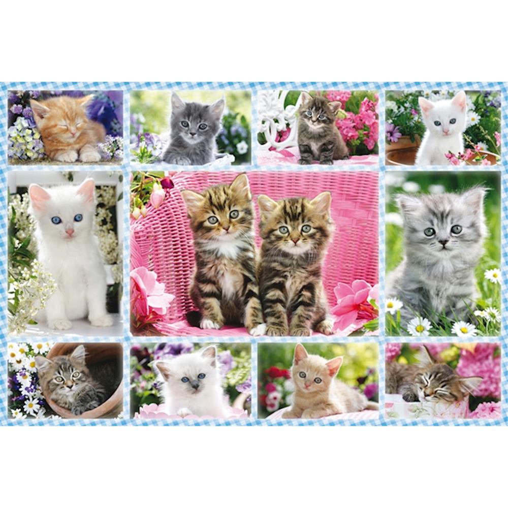 Puzzle Katzenbabies, 100 Teile