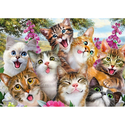 Puzzle Katzen Selfie, 500 Teile