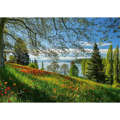 Puzzle Frühlingsallee zur Tulpenblüte, Insel Mainau, 1000 Teile