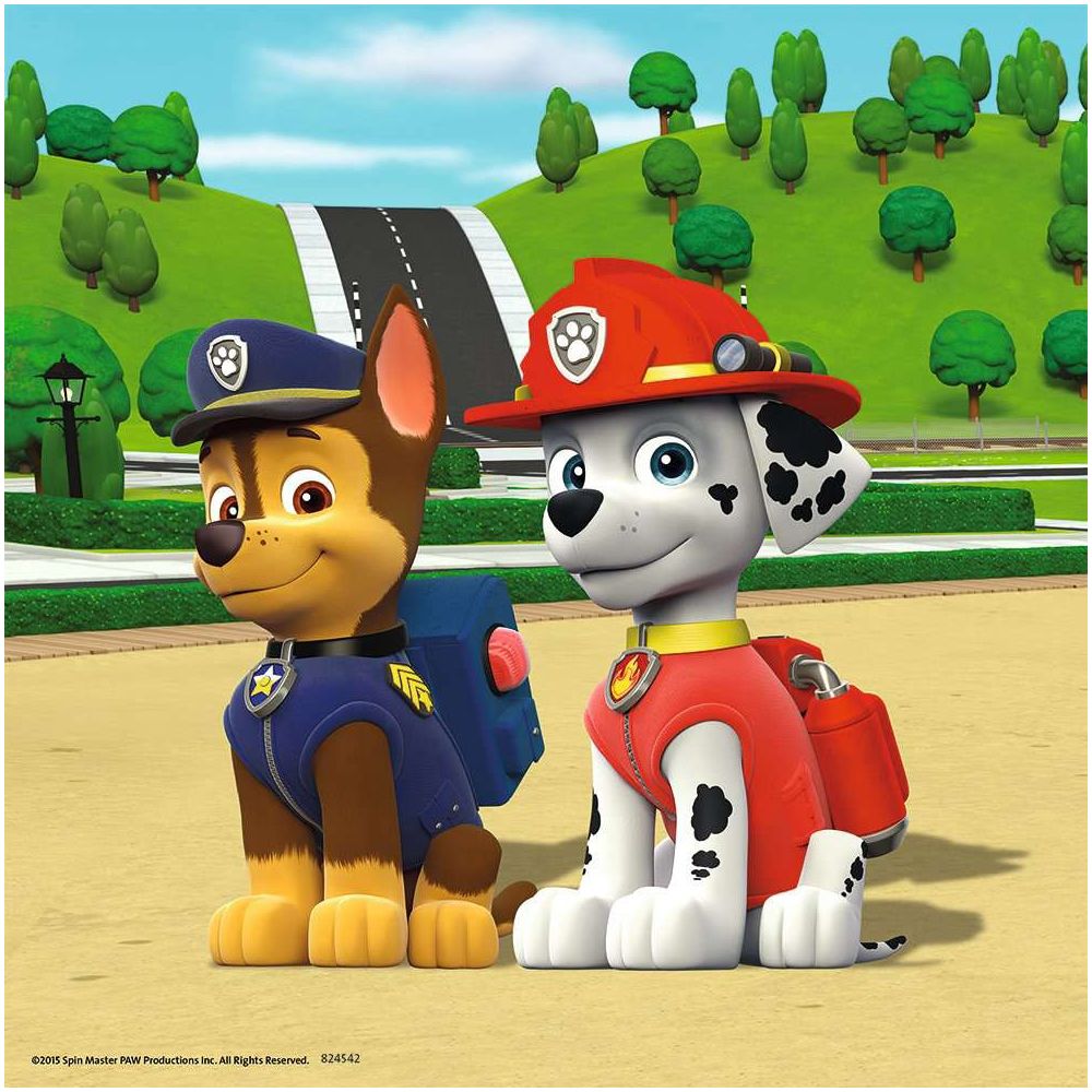 Puzzle Paw Patrol Team auf 4 Pfoten, 3 x 49 Teile