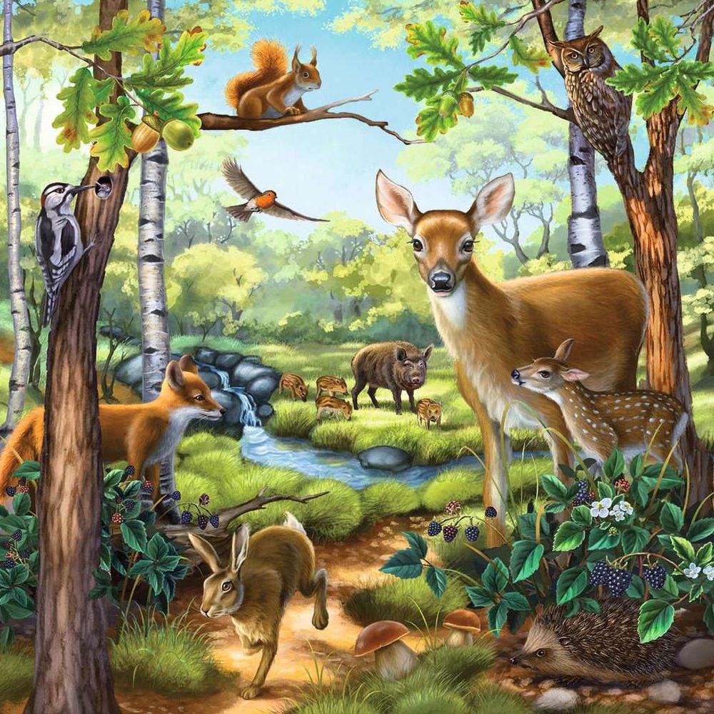 Puzzle Wald-, Zoo-, Haustiere, 3 x 49 Teile