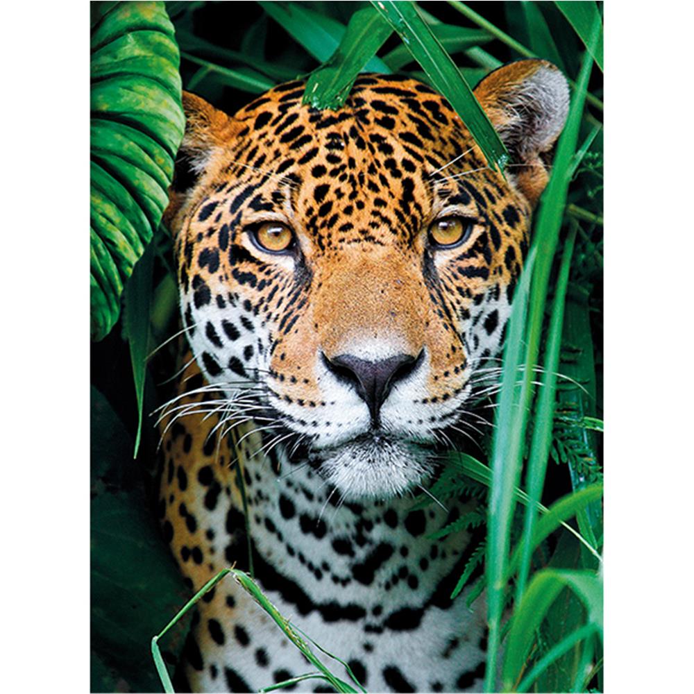 Puzzle Jaguar in the Jungle, 500 Teile