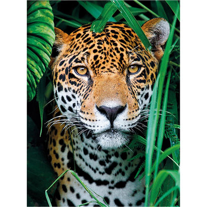 Puzzle Jaguar in the Jungle, 500 Teile