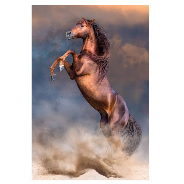 Puzzle Wild Red Stallion, 500 Teile