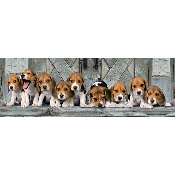 Puzzle Panorama Hunde Beagles, 1000 Teile