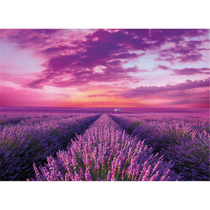 Puzzle Lavendel, 1000 Teile