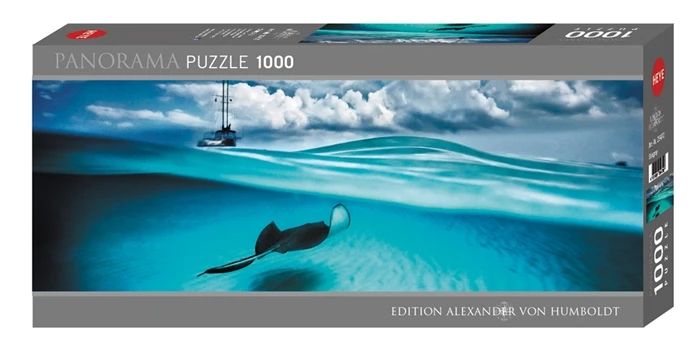 Puzzle Stingray - Panorama Puzzle, 1000 Teile