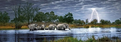 Puzzle Herd of Elephants - Pano. Puzzle, 2000 Teile