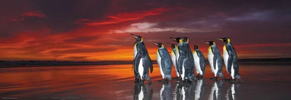 Puzzle King Penguins Panorama, 1000 Teile