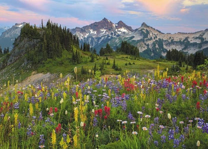 Puzzle Tatoosh Mountains Standard, 2000 Teile