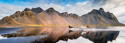 Puzzle Iceland Horses Panorama, 1000 Teile