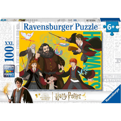 Puzzle Der junge Zauberer Harry Potter, 100 Teile