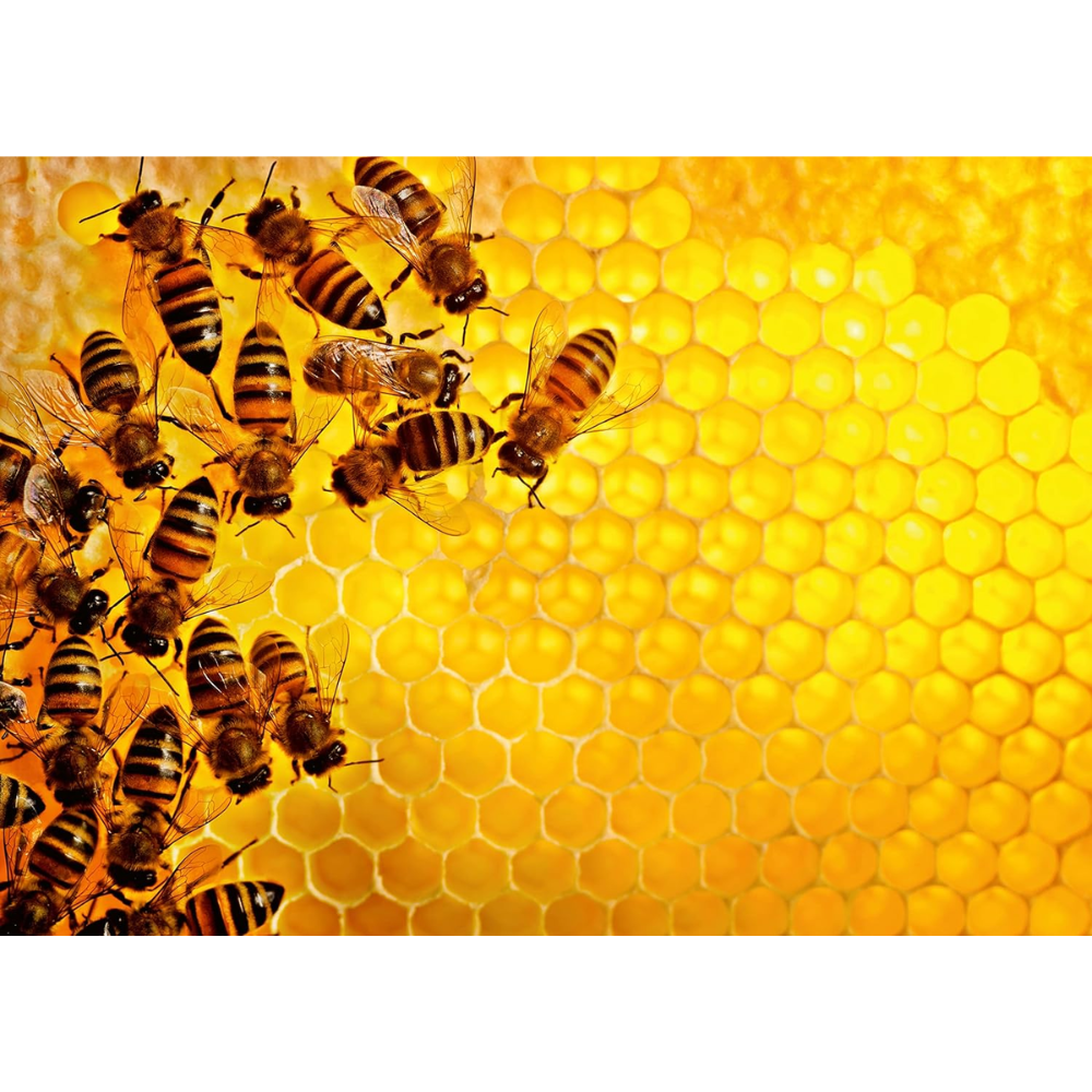 Puzzle Bienen, 1000 Teile