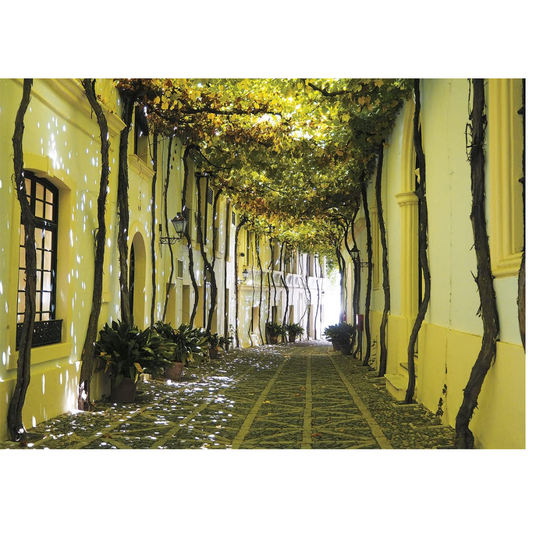 Puzzle Andalusische Gasse, 1000 Teile