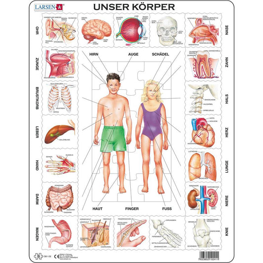 Puzzle Unser Körper, 35 Teile